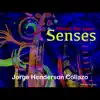 Jorge Henderson Collazo - Music for Your Senses